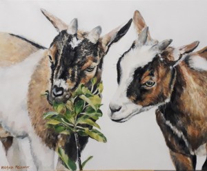 Portrait - Goats 